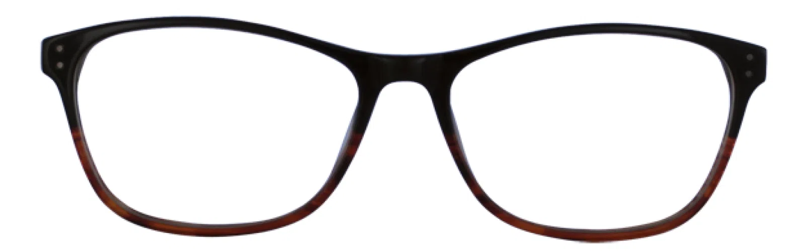 Via Spiga VSGiada Eyeglasses - view 22